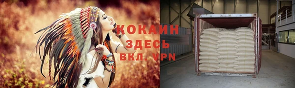 стаф Богородицк