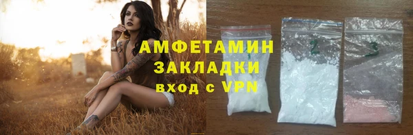 дмт Бородино