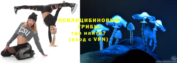 дмт Бородино