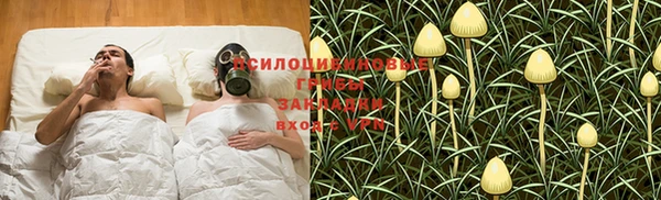 стаф Богородицк