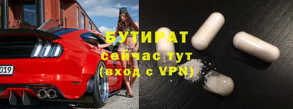 дмт Бородино