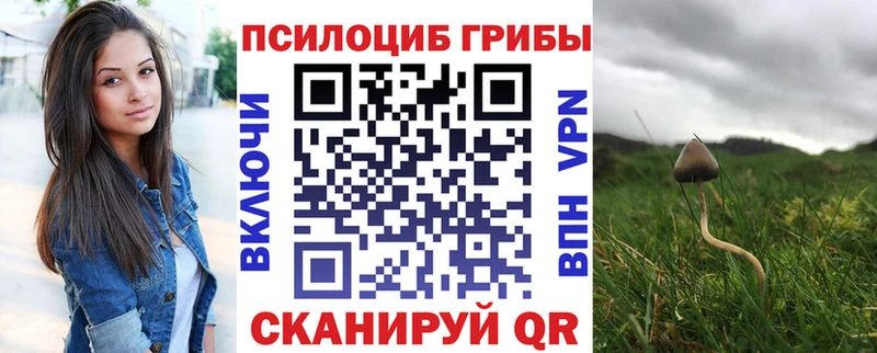 купить наркотики сайты  Свободный  mega как войти  Галлюциногенные грибы Psilocybine cubensis 